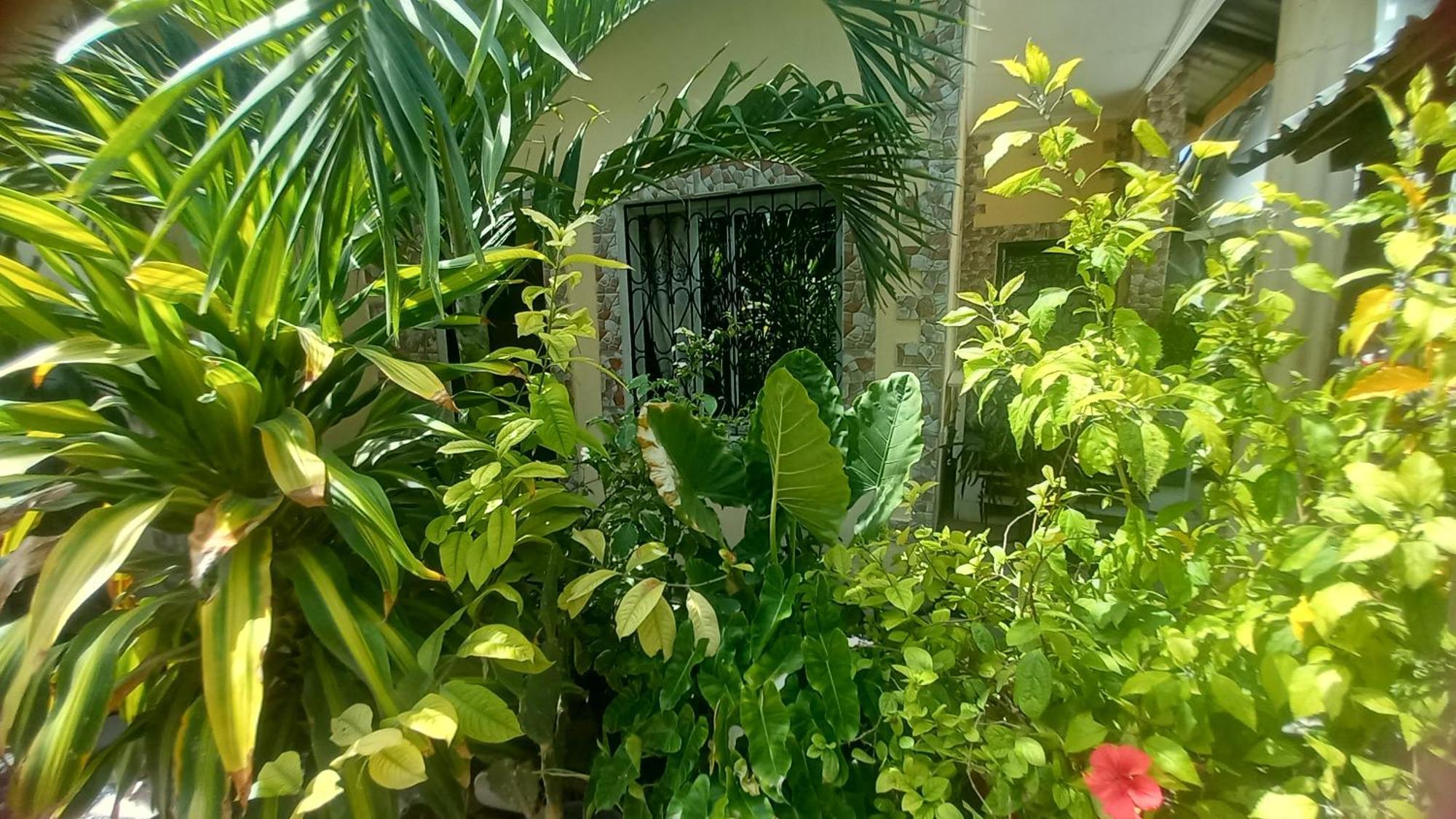 Mount Zion Guest House, Mtwapa Mtomondoni มอมบาซา ภายนอก รูปภาพ