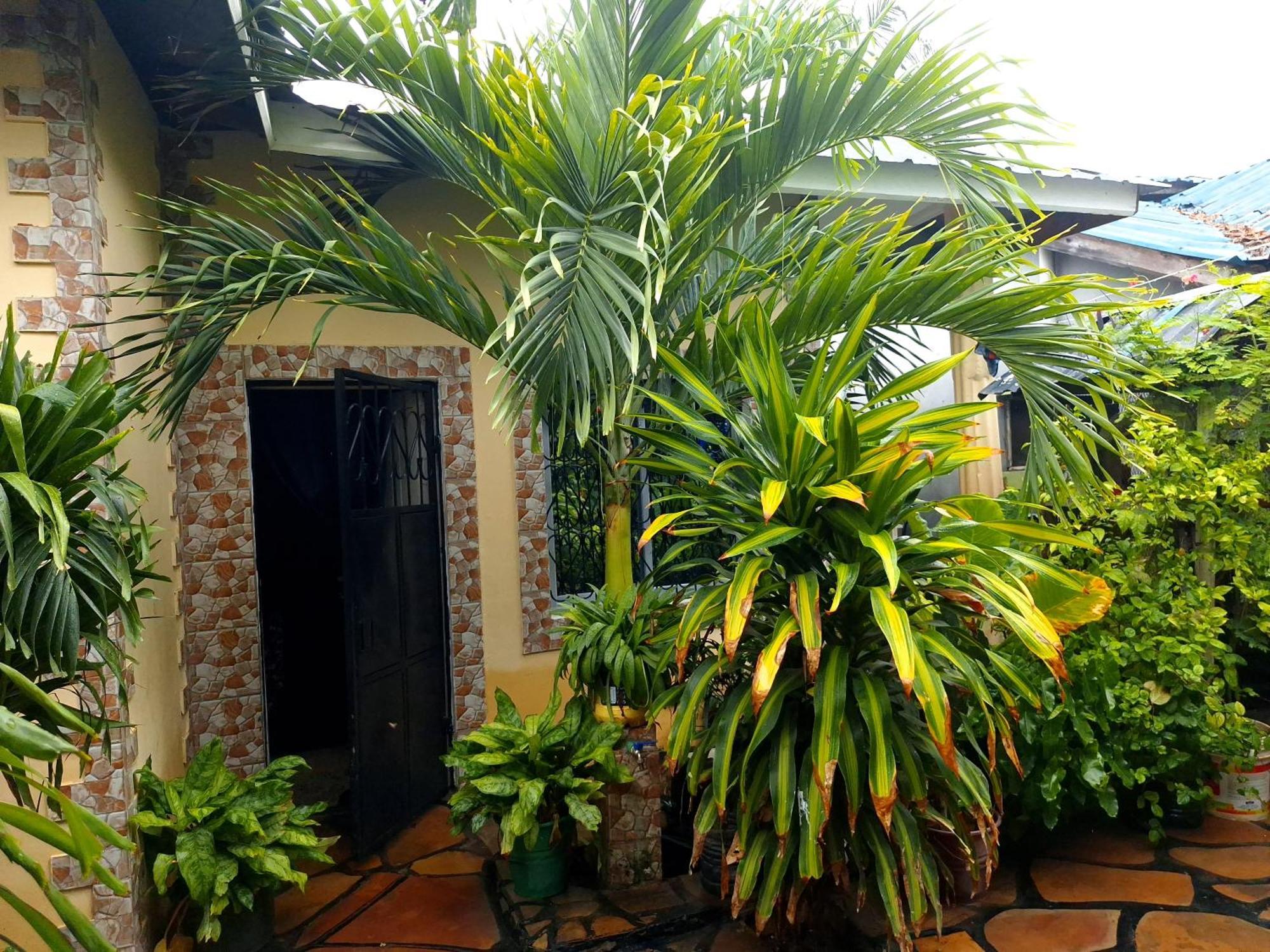Mount Zion Guest House, Mtwapa Mtomondoni มอมบาซา ภายนอก รูปภาพ
