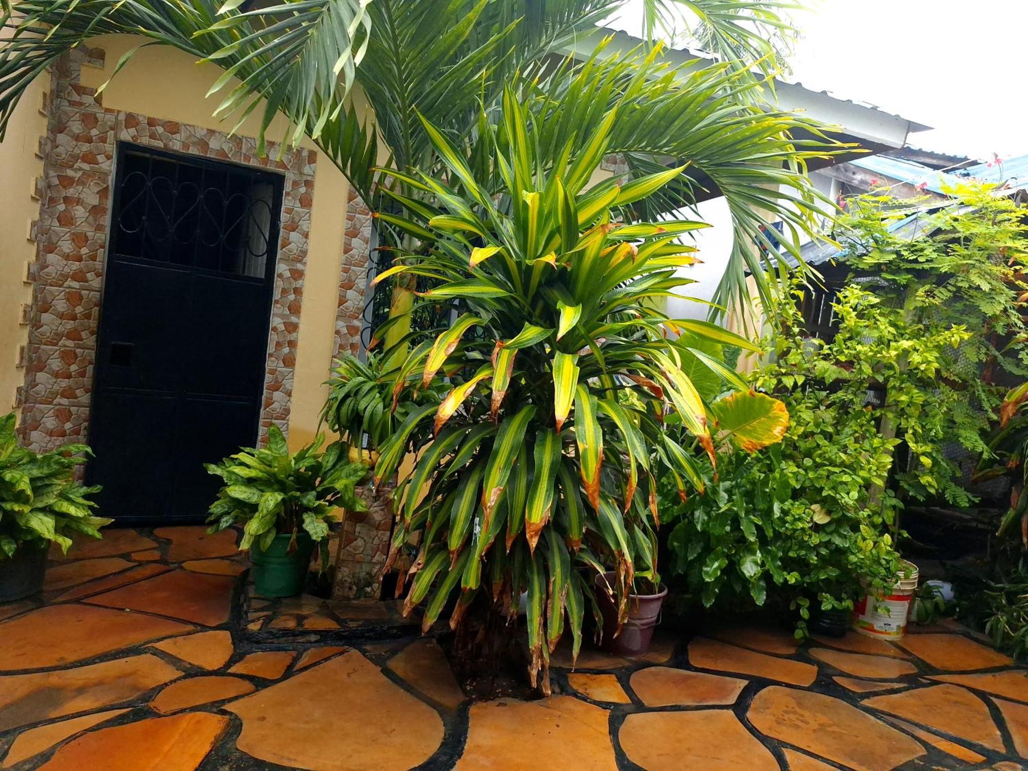 Mount Zion Guest House, Mtwapa Mtomondoni มอมบาซา ภายนอก รูปภาพ